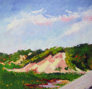 Lebendige Dünenlandschaft von Maxine Shore