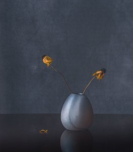 Elegante Getrocknete Blumen