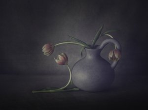 Stimmungsvolle Tulpe Stillleben von May G