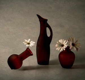 Rote Vasen Weiße Gänseblümchen von May G