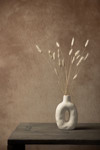 Minimalistisches Stillleben mit getrocknetem Gras von Mayra Pama