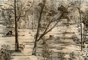 Hütte eines freien Selektors, Australien, 1879
