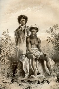Maoris und Teppichschlange, Neuseeland, 1879
