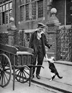 Katzenfleischmann, London, 1926-1927
