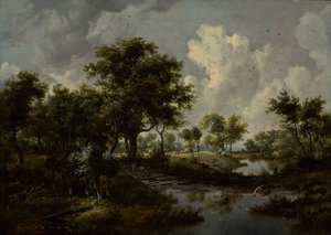 Eine bewaldete Landschaft