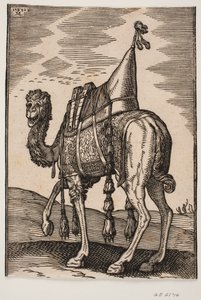 Ein gesatteltes Kamel von Melchior Lorck