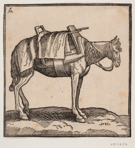 Ein gesatteltes Tragepferd von Melchior Lorck