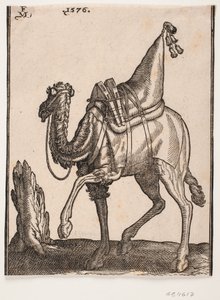 Ein gesatteltes Dromedar, Profil nach links, mit dem Kopf des Tieres vom Betrachter abgewandt von Melchior Lorck