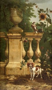Tauben und ein Hund im Garten, ca. 1660-1690 von Melchior d