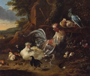 Hahn, Hennen und anderes Geflügel im Hof von Melchior d