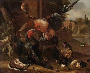 Ein Hahn und ein Truthahn im Kampf, um 1680 von Melchior de Hondecoeter