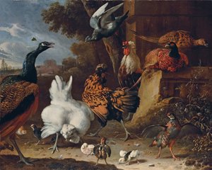 Ein Hahn, Hennen, Küken, ein Rebhuhn, Fasane, ein Pfau und eine Taube an einer Mauer im Park eines Herrenhauses von Melchior de Hondecoeter