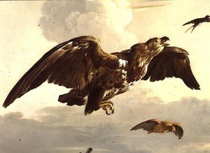 Ein Adler und eine Schwalbe im Flug