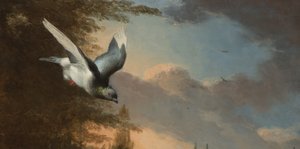 Detail aus Menagerie, ca.1680 (Öl auf Leinwand) von Melchior de Hondecoeter