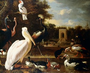 Viele verschiedene Vogelarten an einem Teich in einem Park