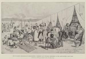 Die Dynamitexplosion in Johannesburg, Obdachlose und Verwundete im Landwirtschaftsausstellungsgelände