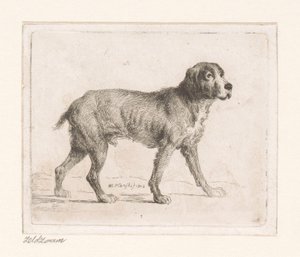 Hund von Michał Płoński