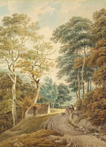 Ein Weg in der Nähe von Hindhead