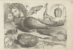 Studieblatt mit Zeichenbeispielen: Köpfe, Tiere und Früchte von Michael Snijders