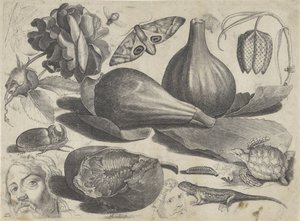 Studienblatt mit Zeichenbeispielen: Köpfe, Tiere und Früchte von Michael Snijders