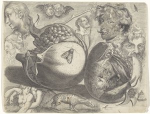 Studienblatt mit Zeichenbeispielen: Köpfe, Figuren, Früchte, Tiere von Michael Snijders