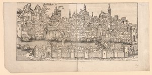 Nürnberger Chronik: Topographische Ansicht von Basel, Schweiz