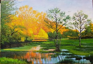 Überflutetes Feld in Gironde von Michel Bultet