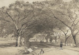 Allee und Eingang zu den St. James Barracks