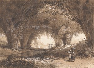 Bambusbögen, St. Anns von Michel Jean Cazabon