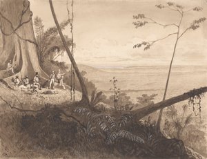 Cedar Point, Mount Tamana von Michel Jean Cazabon