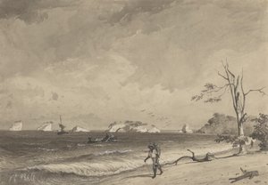 Los Gallos, Icacos Bay von Michel Jean Cazabon