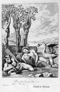 Cygnus verwandelt sich in einen Schwan und Phaetons Schwestern in Pappeln, 1655