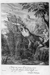 Pan verfolgt Syrinx, die sich in ein Schilfrohr verwandelt von Michel de Marolles