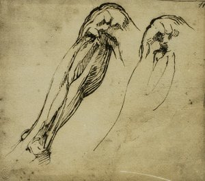 Anatomische Studien eines Beins, Zeichnung von Michelangelo. Casa Buonarroti, Florenz von Michelangelo Buonarroti