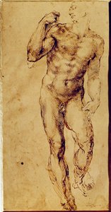 Studie eines stehenden nackten Mannes von Michelangelo Buonarroti