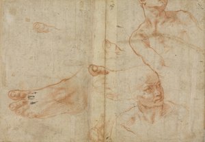 Figurenstudien für die Sixtinische Decke von Michelangelo Buonarroti