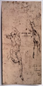 Nackter Mann, Armstudie von Michelangelo Buonarroti