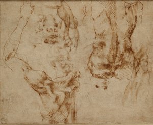 Aktstudien, ca. 1490-1560 von Michelangelo Buonarroti