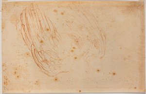 Skizze eines Adlers von Michelangelo Buonarroti