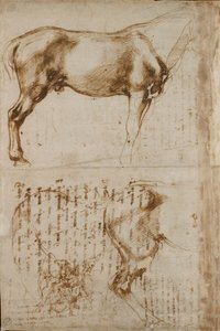 Studien eines Pferdes und eines Reiters, der Fußsoldaten angreift, frühes 16. Jahrhundert von Michelangelo Buonarroti