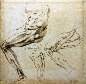 Studien von Beinen, 1524-1525