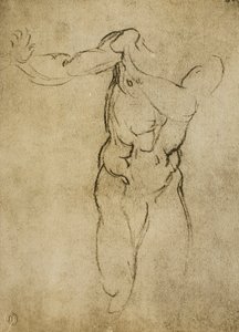 Studie für eine männliche Büste, Zeichnung von Michelangelo. Casa Buonarroti, Florenz