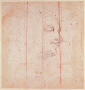 Studie für den Kopf der Libyschen Sibylle (Schwarze Kreide auf Papier) (verso) von Michelangelo Buonarroti
