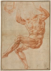 Studie für den nackten Jüngling über dem Propheten Daniel (recto)