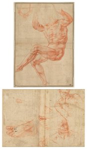 Studie für den nackten Jüngling über dem Propheten Daniel (recto); Figurenstudien für die Sixtinische Decke (verso) von Michelangelo Buonarroti