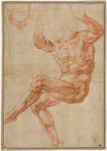 Studie für den nackten Jüngling über dem Propheten Daniel, 1510-1511