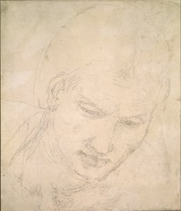 Studie eines Kopfes, ca. 1490-1560 von Michelangelo Buonarroti