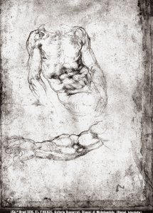 Studie eines männlichen Torsos und Arms