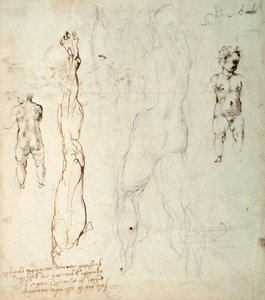 Studie des Christuskindes und eine anatomische Zeichnung mit Notizen (Schwarzkreide und braune Tinte auf Papier) (verso)