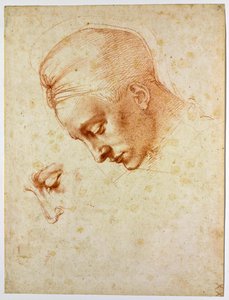 Studie zum Kopf der Leda von Michelangelo Buonarroti